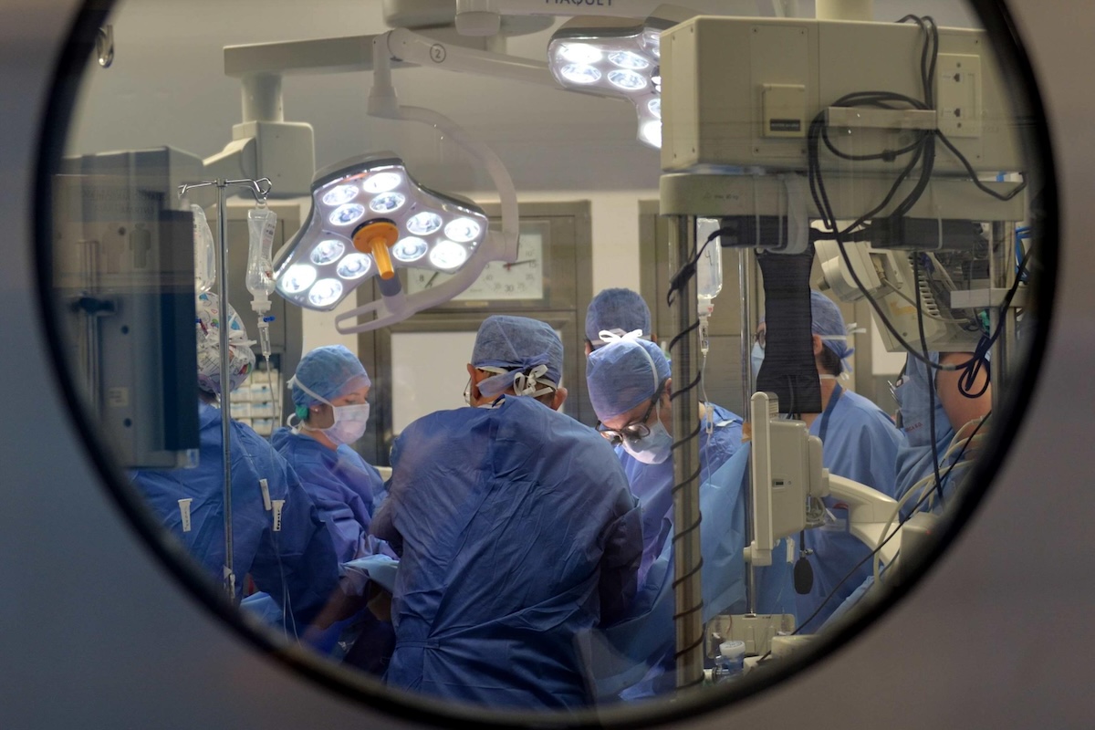 come si decide chi riceve prima un cuore donato da Billipop.com come si decide chi riceve prima un cuore donato