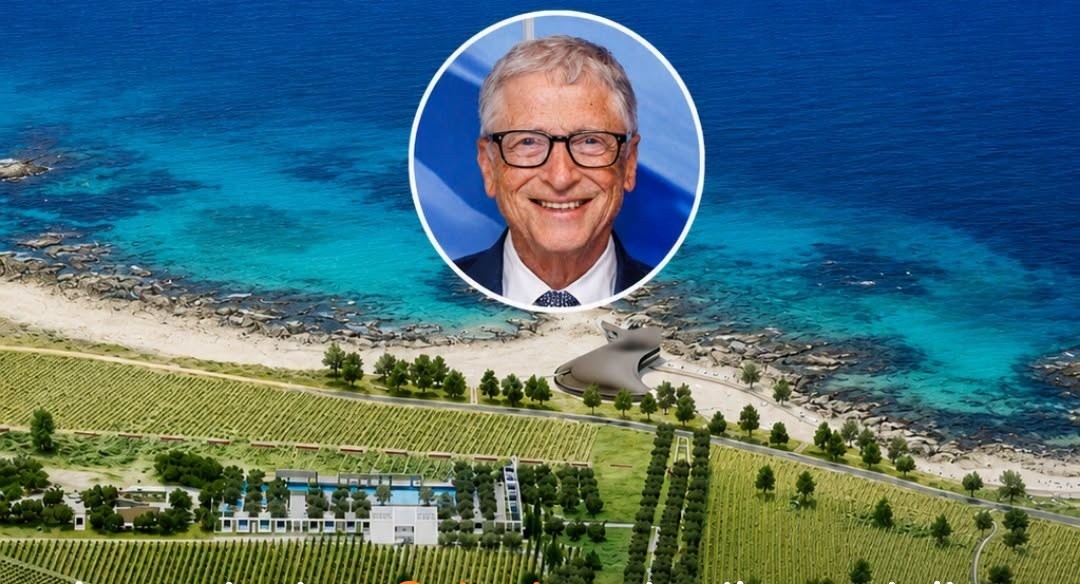 ostuni dice no al mega resort di lusso quella costa va protetta da Billipop.com ostuni dice no al mega resort di lusso quella costa va protetta