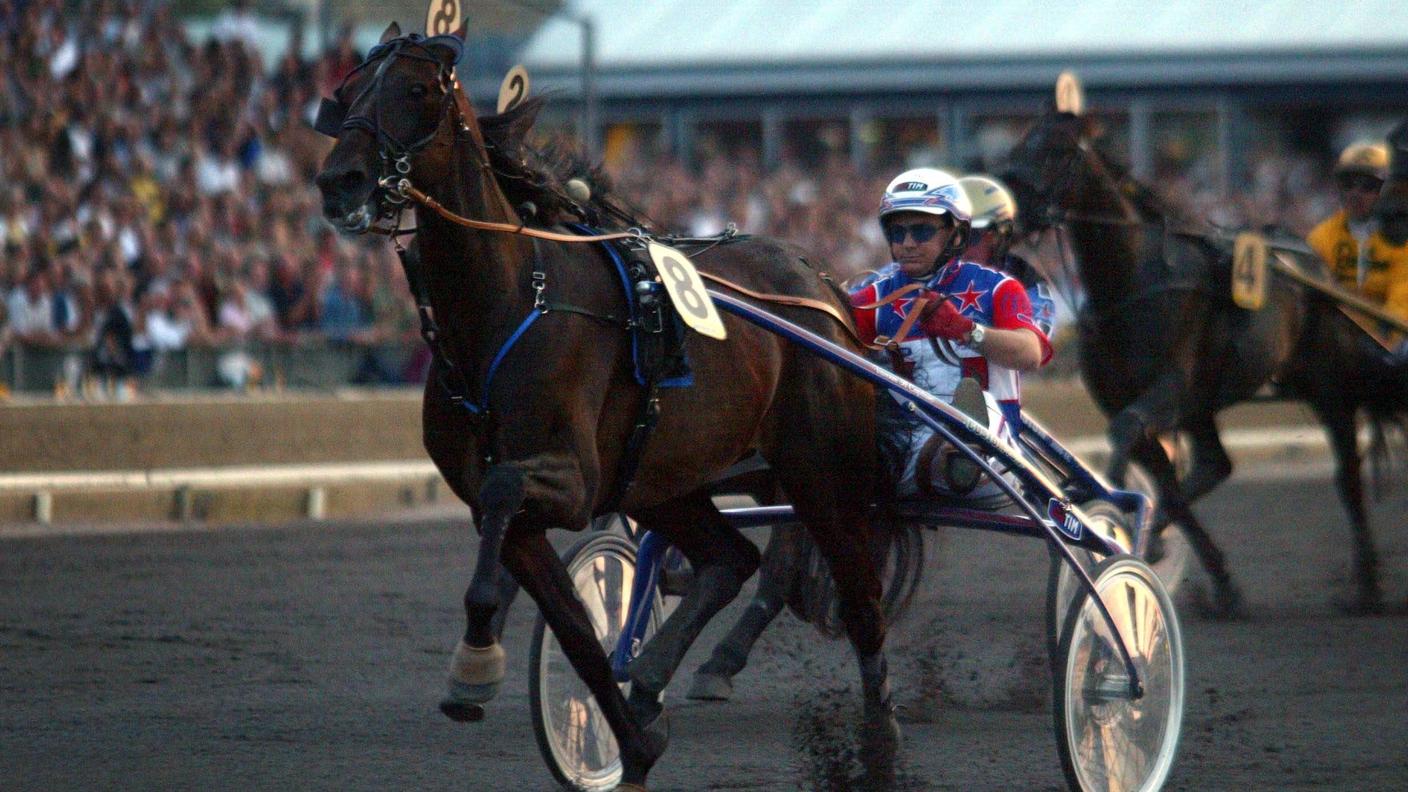 200 morto varenne addio al capitano la leggenda del trotto italiano aveva 31 anni da Billipop.com 200 morto varenne addio al capitano la leggenda del trotto italiano aveva 31 anni